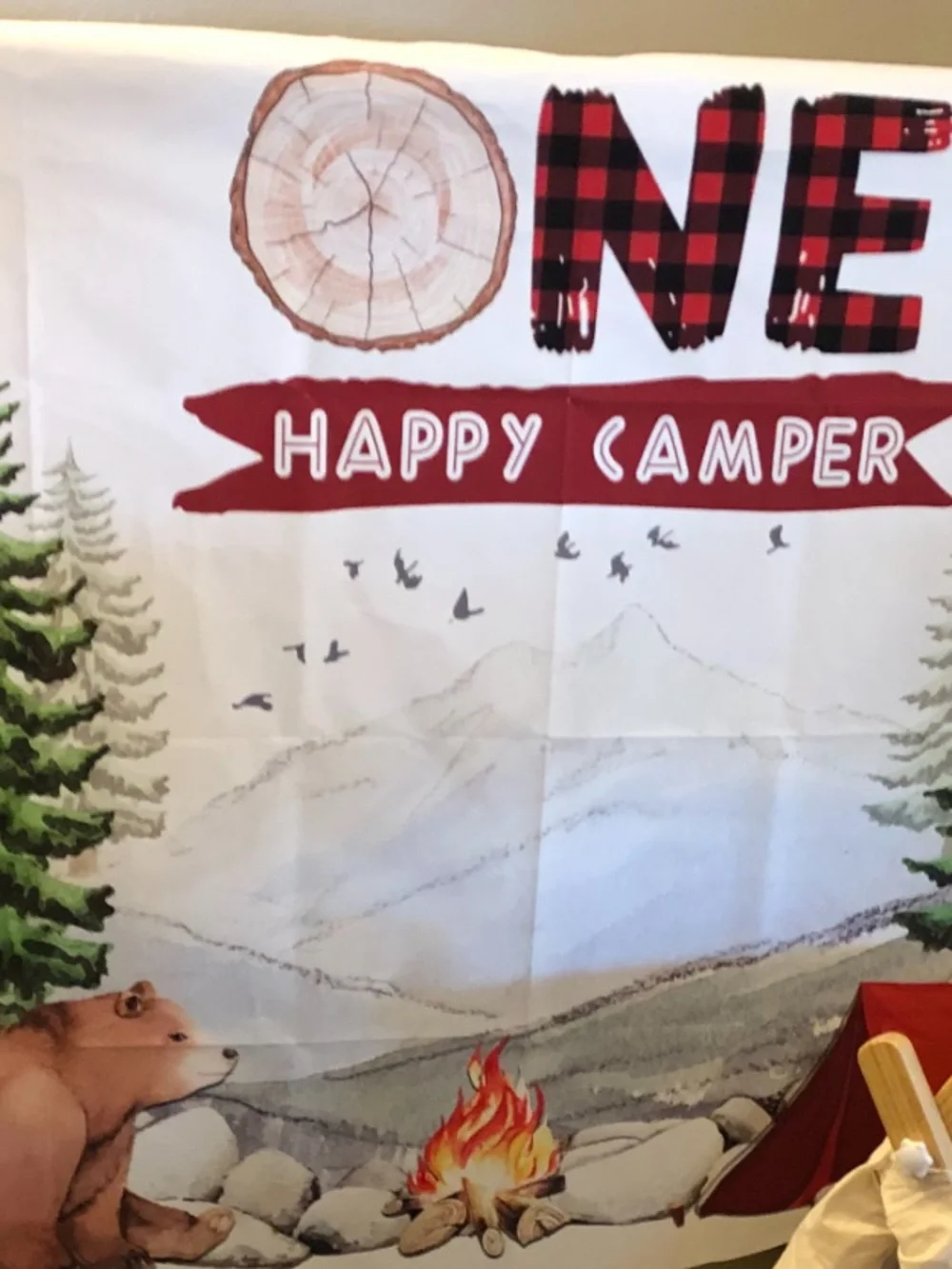 One Happy Camper Birthday Bundle